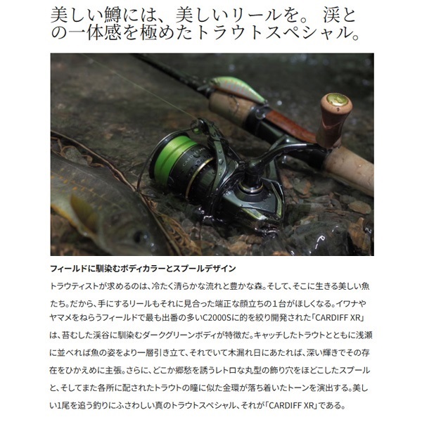 23カーディフXR